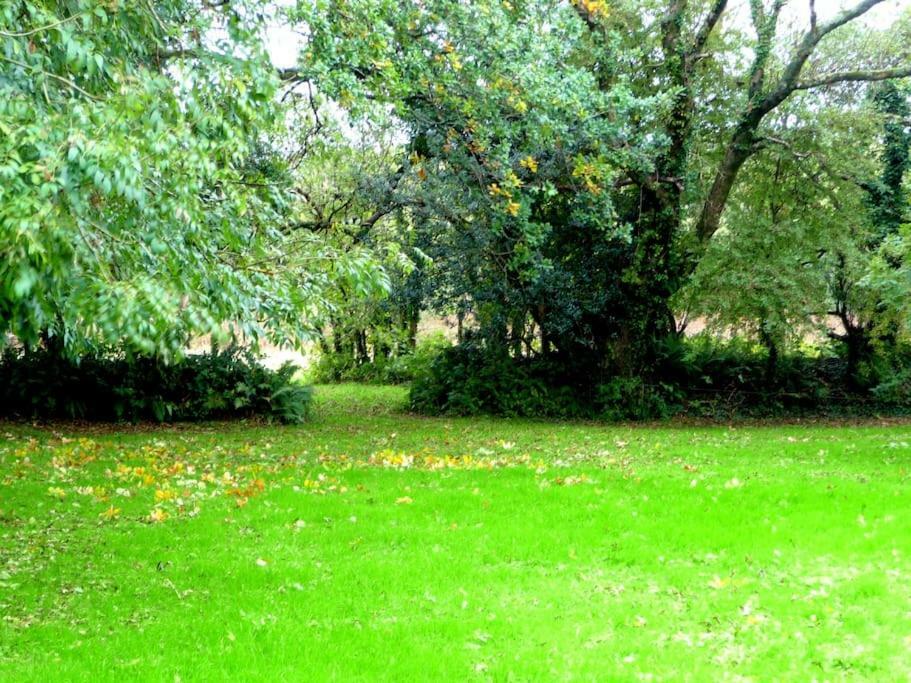 Croft Flat Apartment Kilgetty Екстериор снимка